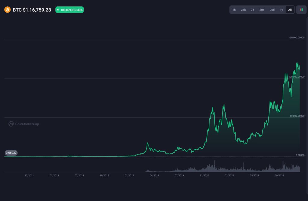 Price of Bitcoin historical trends and volatility